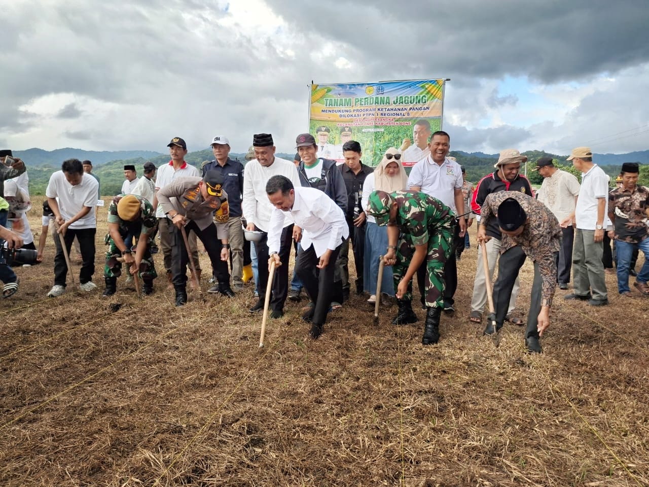 Gaspol Usai Retret Kepala Daerah, Bupati Bone Tanam Jagung di Lahan 500 Ha area PTPN
