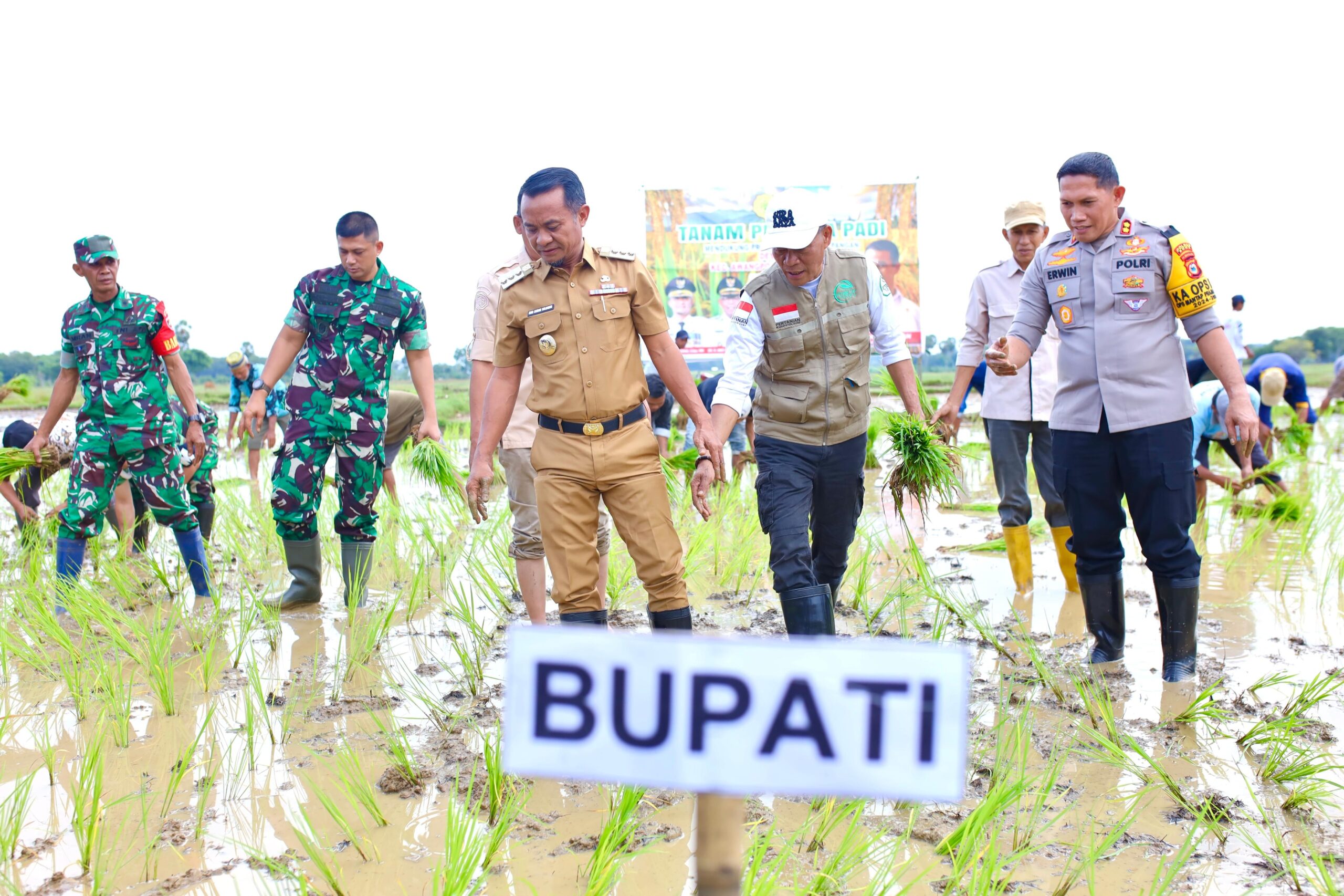 Bupati Bone Tanam Perdana Padi di Awangpone, Serahkan Sejumlah Bantuan
