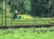 Komitmen Transparansi, PT Vale Raih Bronze Award di ASRA 2025