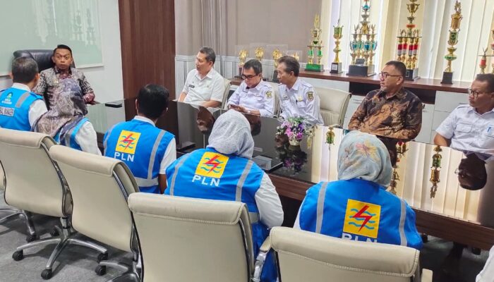 Sidrap Luncurkan Program Listrik Masuk Sawah, Dorong Pertumbuhan Ekonomi Pedesaan