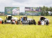 Gubernur Sulsel dan Bupati Bone Ikuti Panen Raya Serentak Bersama Presiden RI