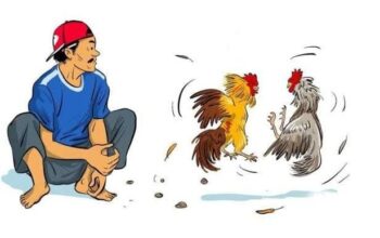 Isu Judi Sabung Ayam Muncul Lagi di Wajo, Kapolres Apresiasi Laporan Warga Isu Judi Sabung Ayam Muncul Lagi di Wajo, Kapolres Apresiasi Laporan Warga