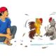 Isu Judi Sabung Ayam Muncul Lagi di Wajo, Kapolres Apresiasi Laporan Warga