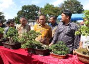 Irwan Bachri Syam Apresiasi Karya Pecinta Bonsai, Berharap Tampil di Ajang Nasional