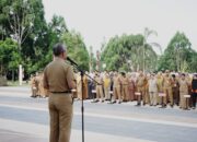 SK CPNS dan PPPK Lutim Diserahkan Pekan Depan