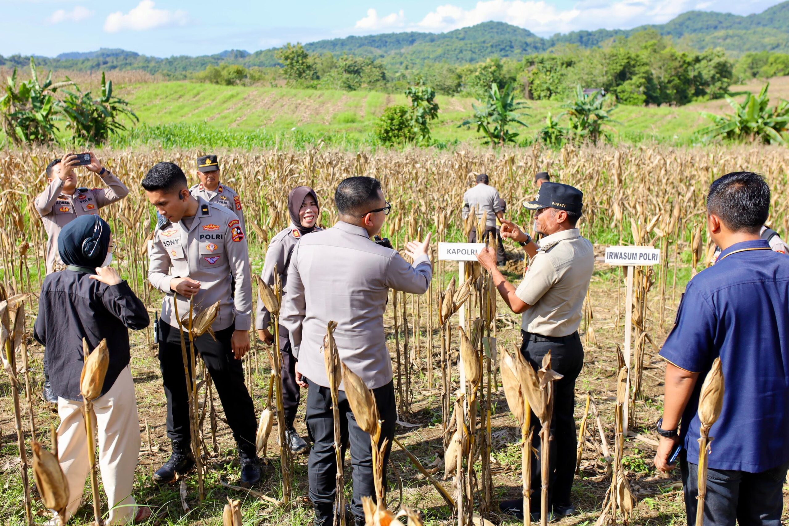 Bupati Bone Tinjau Kesiapan Panen Raya yang Bakal Dihadiri Mentan dan Kapolri