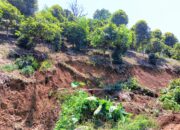 Fakta Bencana di Bua: Kebun Cengkeh, Jagung, dan Cokelat Longsor
