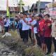 Dorong Revolusi Pertanian, Sidrap Target Produksi Padi 1 Juta Ton