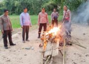 Gerebek Sabung Ayam, Polsek Panca Rijang Amankan Puluhan Motor dan Ayam Adu