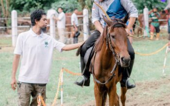 Pordasi Berkuda Memanah Sulsel Latihan Bersama Jelang Porprov