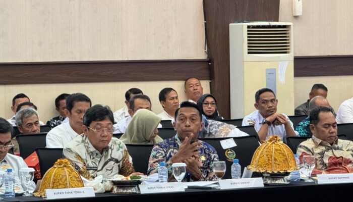 Bupati Syaharuddin Paparkan Strategi Digitalisasi di Forum TPID dan TP2DD Sulsel