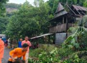 Angin Kencang Terjang Sidrap, Sejumlah Rumah Rusak dan Pohon Tumbang