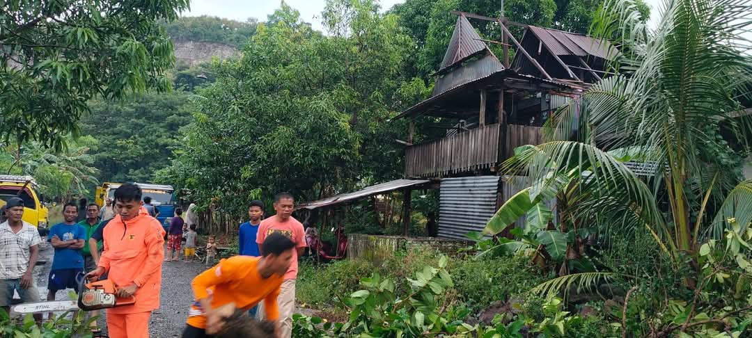 Angin Kencang Terjang Sidrap, Sejumlah Rumah Rusak dan Pohon Tumbang