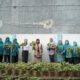 TP-PKK Luwu Panen Perdana Bayam di Kebun Pekarangan Sekretariat KKS