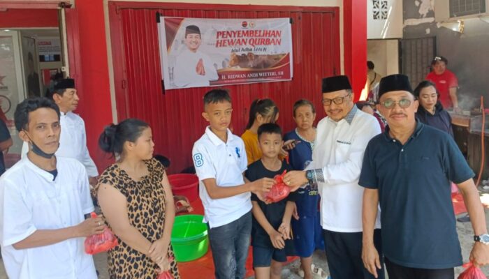 Tahun Ini, PDIP Sulsel Kembali Berkurban Ratusan Ekor Sapi, 45 Khusus Disumbang ARW