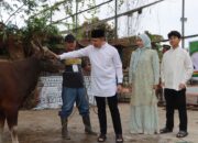 Polres Luwu Salurkan Delapan Ekor Sapi Kurban ke Warga