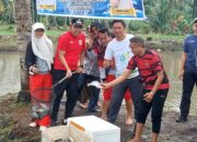 Wabup Bone Dukung Budidaya Ikan Nila dan Ketahanan Pangan di Cenrana