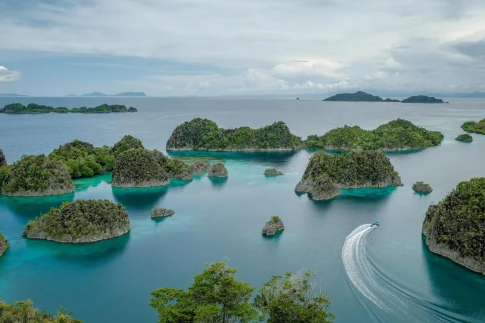 Tambang Nikel Raja Ampat Dikecam, Pemerintah Temukan Banyak Pelanggaran