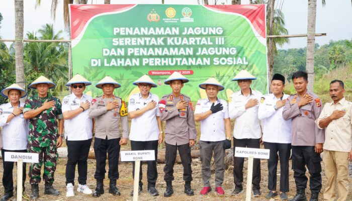 Polri Tanam Jagung Serentak, Wabup Bone Apresiasi Peran dalam Ketahanan Pangan