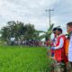 Cegah Hama Serang Padi, Bupati Sidrap Pimpin Penyemprotan Massal