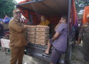 Bupati Luwu Lakukan Sidak Pasar Awal Pekan