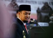 Gubernur Sulsel Surati Presiden Minta Evaluasi Open Pit PT Masmindo, Direksi BUMD Akan Dipanggil