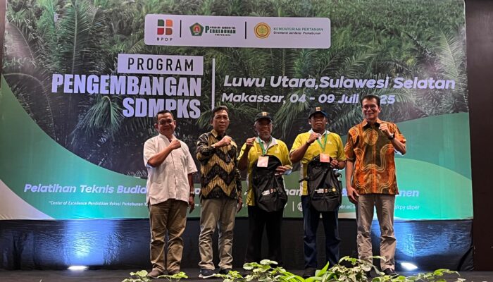 BPDP dan Ditjebun Dukung AKPY Latih Petani Sawit Lutra untuk Tingkatkan Produktivitas
