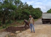 Lurah Arawa dan Komunitas Ashesi Gotong Royong Perbaiki Jalan Berlubang