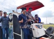 Sidrap Catat Rekor Serapan Beras Tertinggi Sepanjang Sejarah Bulog