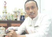 DPMPTSP Sinjai Angkat Bicara Soal Dugaan Gratifikasi Investor Porang
