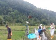 Pulihkan Towuti, PT Vale bersama Pemerintah dan Warga Terjun Langsung ke Lokasi Terdampak