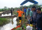 Patahkan Spekulasi, Bupati Lutim Minta Uji Lab Tanah, Air, dan Udara