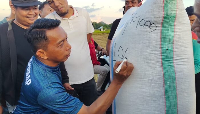 Bupati Sidrap Pimpin Panen Perdana dan Canangkan Target 1 Juta Ton Gabah
