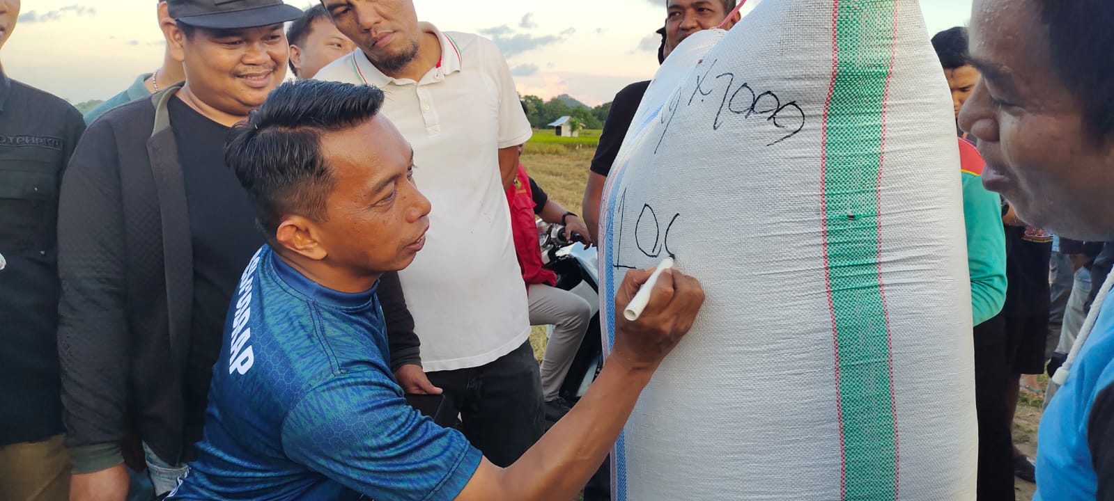 Bupati Sidrap Pimpin Panen Perdana dan Canangkan Target 1 Juta Ton Gabah