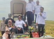 Panen Raya di Teteaji, Bupati Sidrap Operasikan Langsung Mesin Panen Padi