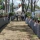 Ratusan Tanaman Bonsai dan Batu Alam Hiasi Pameran Nasional di Sidrap