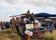 Bupati Sidrap Hadiri Panen Raya di Panca Lautang