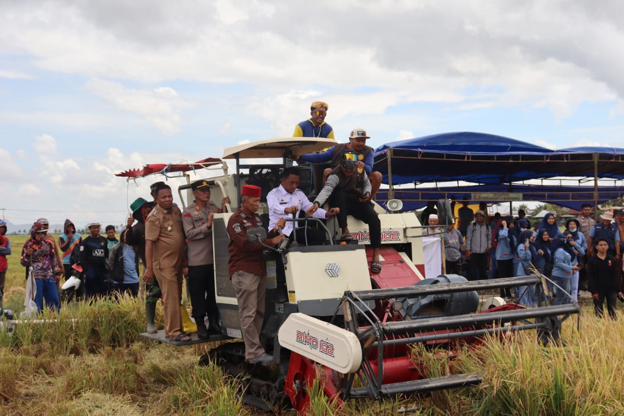 Bupati Sidrap Hadiri Panen Raya di Panca Lautang