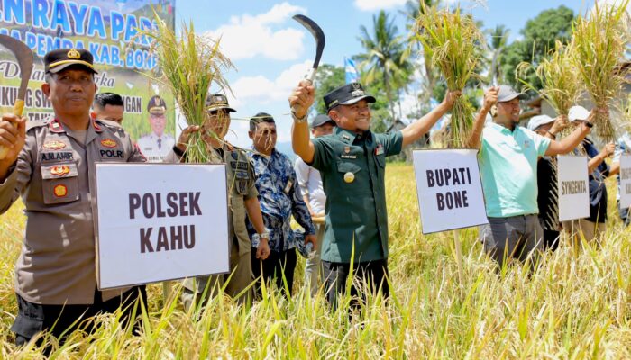 Hari Tani Nasional 2025, Bupati Bone: Petani Adalah Pahlawan Pangan Sejati