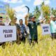 Hari Tani Nasional 2025, Bupati Bone: Petani Adalah Pahlawan Pangan Sejati