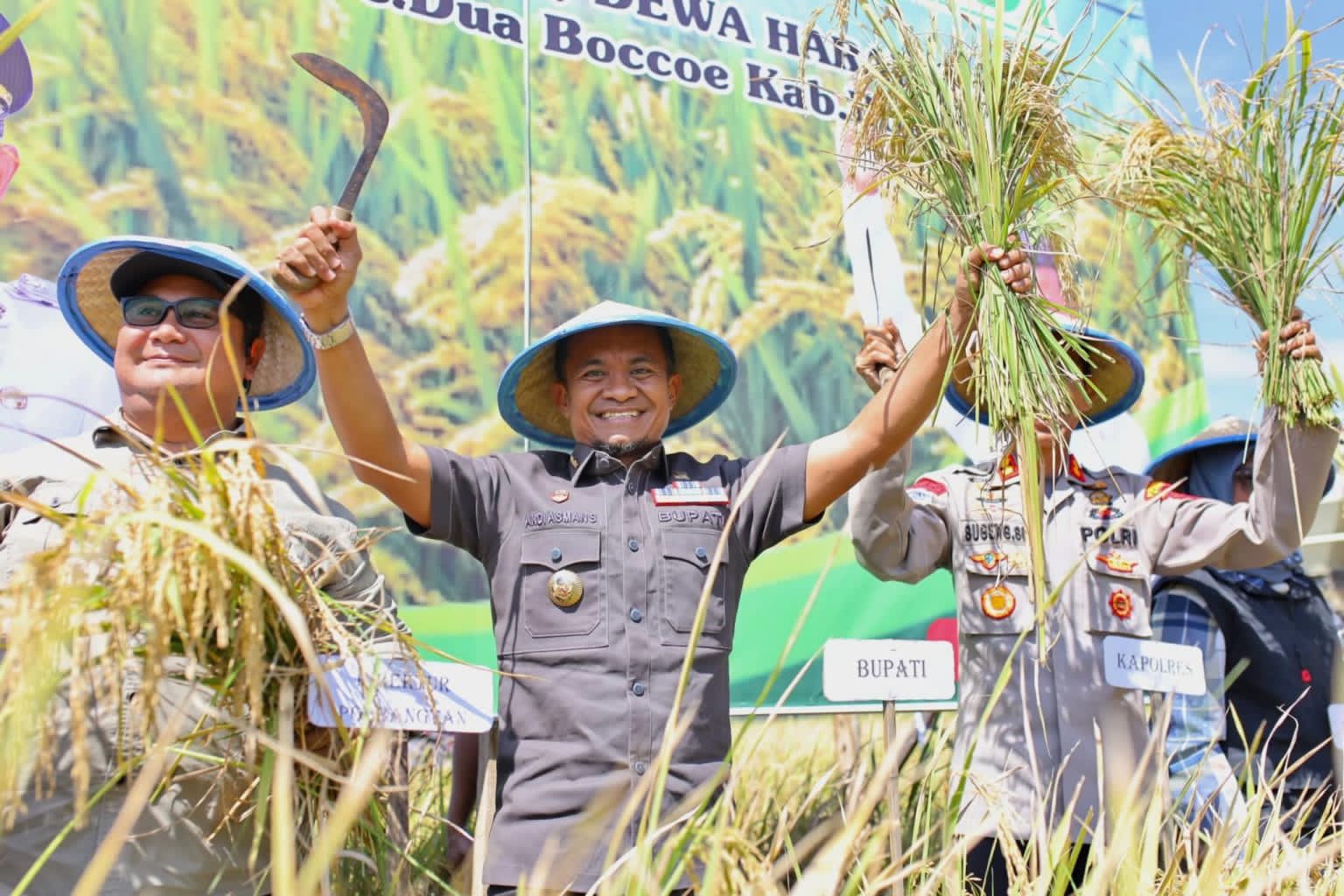 Brigade Pangan Dongkrak Produktivitas Padi di Bone, Panen Meningkat dari 3 ke 8 Ton per Hektar