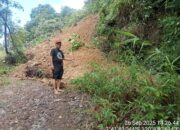 15 Titik Longsor Terjang Desa Leppangeng, 7 Dusun Sidrap Lumpuh Total