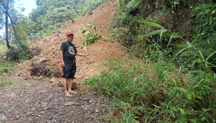 15 Titik Longsor Terjang Desa Leppangeng, 7 Dusun Sidrap Lumpuh Total