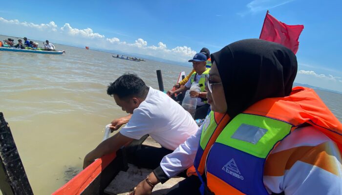 20 Ribu Benih Ikan Ditebar di Festival Danau Sidenreng 2025
