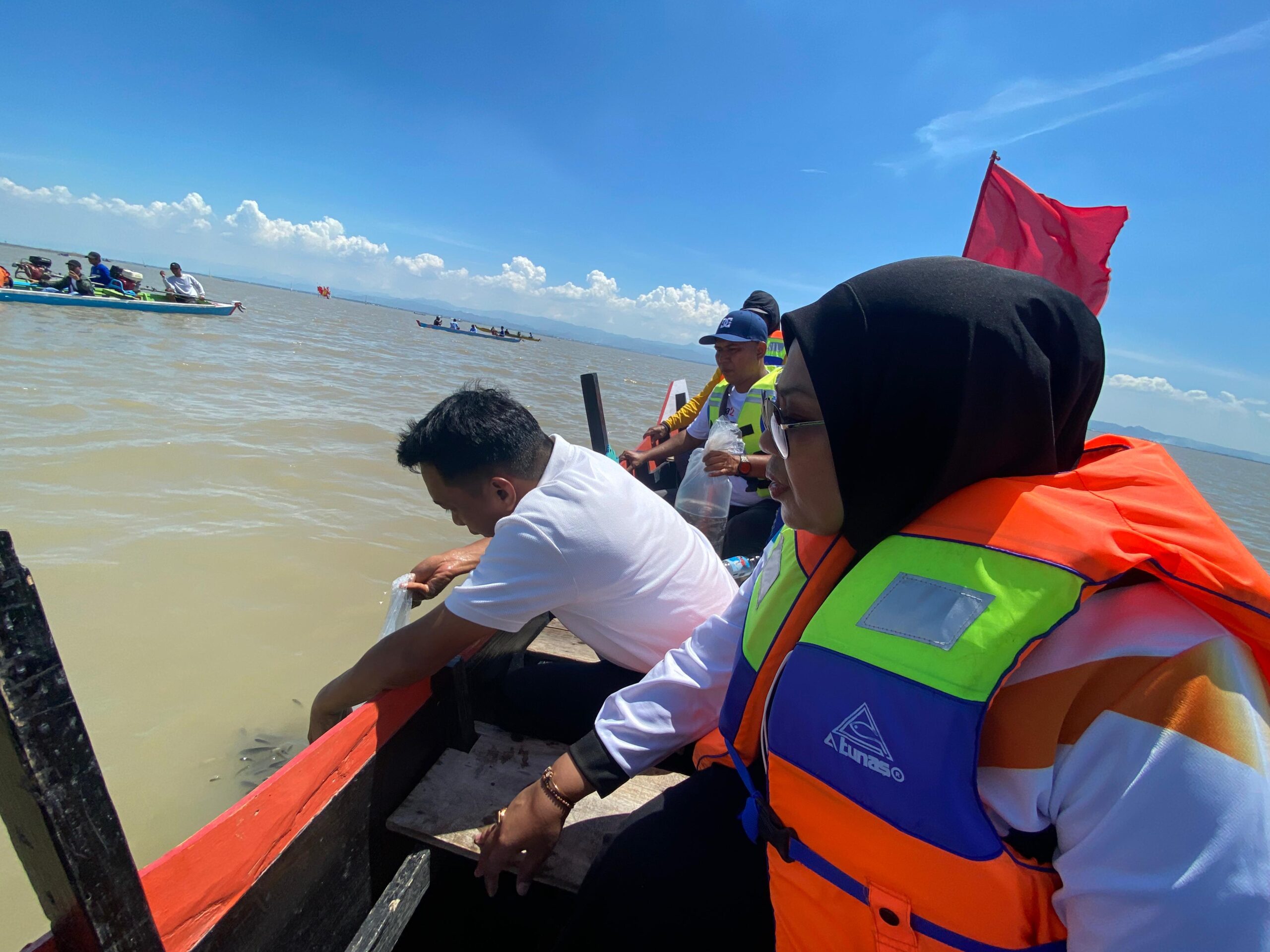 20 Ribu Benih Ikan Ditebar di Festival Danau Sidenreng 2025