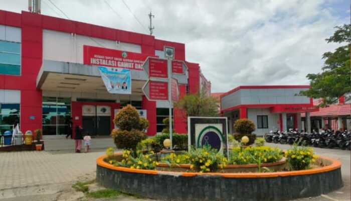RSUD Sawerigading Palopo Catat Demam dan Dispepsia Terbanyak Sebulan Terakhir