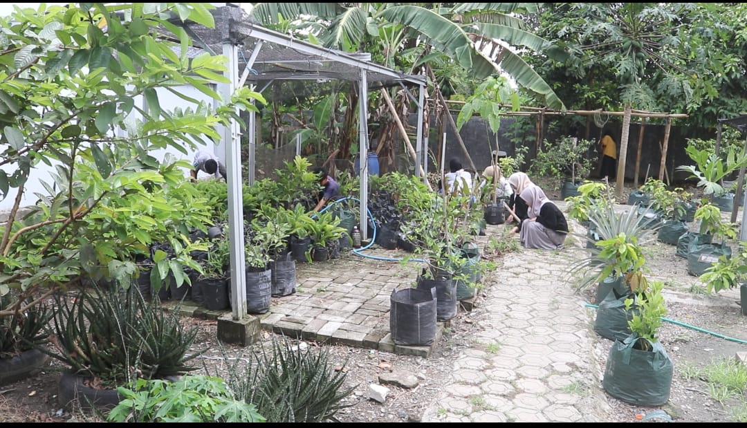 Mahasiswa UMS Rappang Gelar Aksi Bersih-Bersih di Greenhouse Tapoji