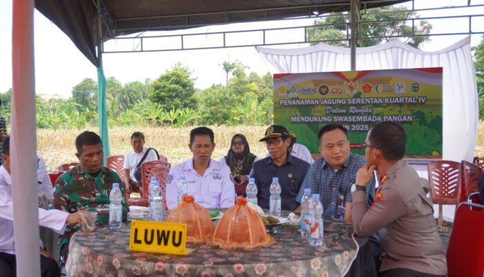 Penanaman Jagung Serentak di Luwu, Wapres Gibran Tegaskan Pentingnya Swasembada