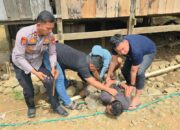 Pelaku Pembunuhan Sadis di Sidrap Diduga di Bawah Pengaruh Narkoba