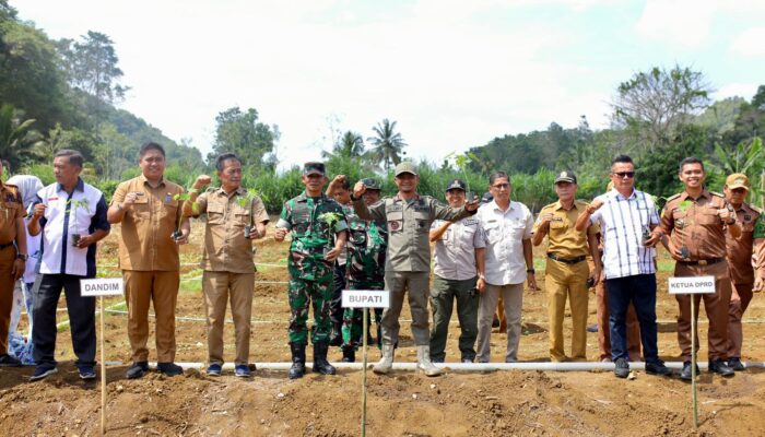 Kebun MBG Terintegrasi, Inovasi Bone Menuju Kemandirian Pangan